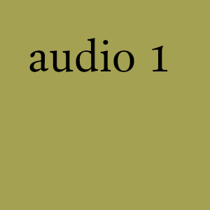 Audio 1